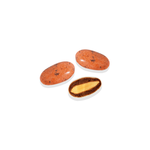 amande et chocolat praliné couleur terracotta lamandine